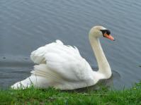 Klik op de foto voor groter formaat